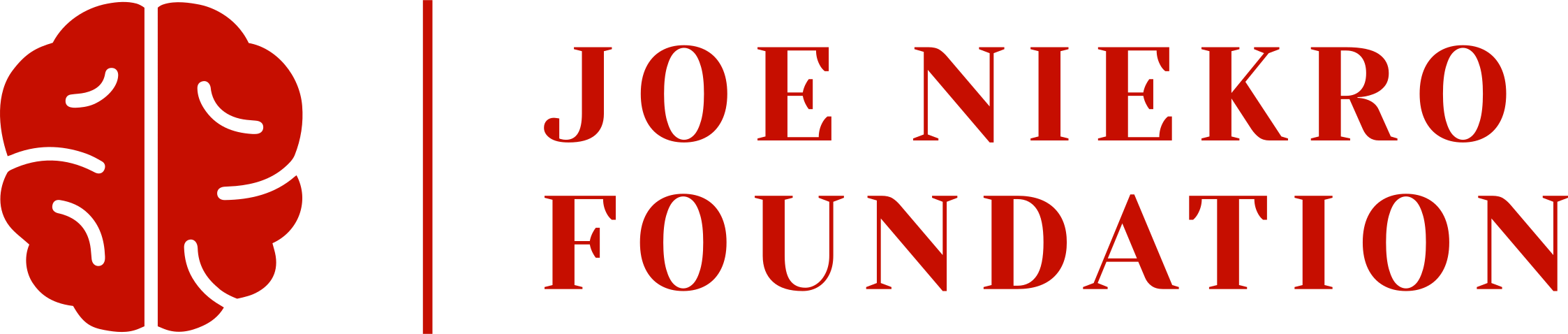 The Niekro Aneurysm and Avm Foundation logo